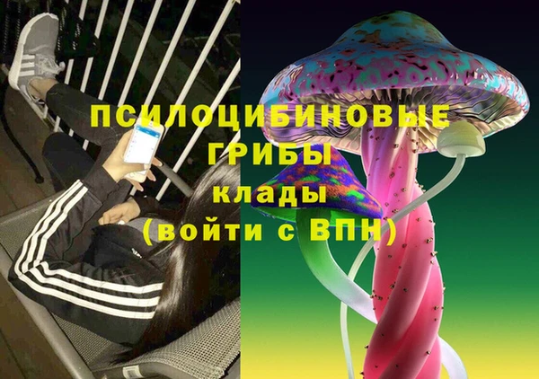 дживик Кинешма